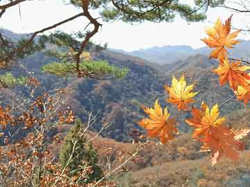 萧山区财政局最新人事任命